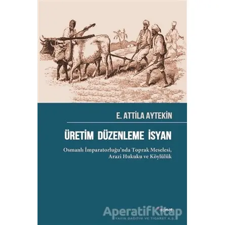 Üretim Düzenleme İsyan - E. Attila Aytekin - Dipnot Yayınları