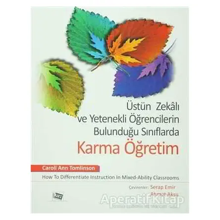 Üstün Zekalı ve Yetenekli Öğrencilerin Bulunduğu Sınıflarda Karma Öğretim