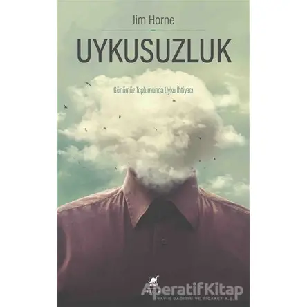 Uykusuzluk - Jim Horne - Ayrıntı Yayınları