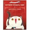 Kuyruğu Dumanlı Kedi - Mevlana İdris - Vak Vak Yayınları