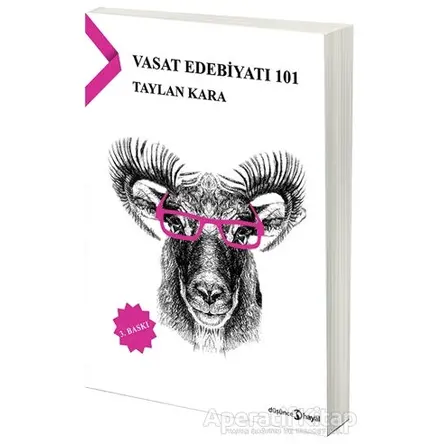 Vasat Edebiyatı 101 - Taylan Kara - Hayal Yayınları