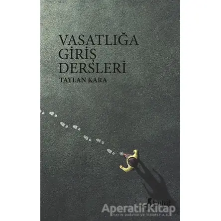 Vasatlığa Giriş Dersleri - Taylan Kara - Bulut Yayınları