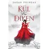 Kül ve Diken - Sarah Prineas - Yabancı Yayınları