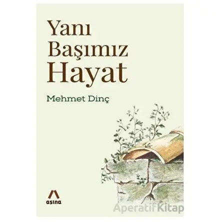 Yanı Başımız Hayat - Mehmet Dinç - Aşina Yayınları