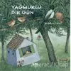 Yağmurlu Bir Gün - Feridun Oral - Yapı Kredi Yayınları