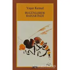 Bugünlerde Bahar İndi (Küçük Boy) - Yaşar Kemal - Yapı Kredi Yayınları