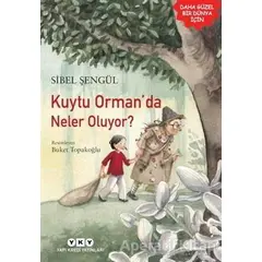 Kuytu Orman’da Neler Oluyor? - Sibel Şengül - Yapı Kredi Yayınları