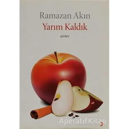 Yarım Kaldık - Ramazan Akın - Cinius Yayınları