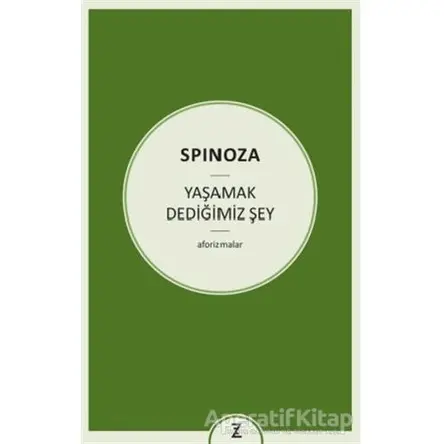 Yaşamak Dediğimiz Şey - Benedictus de Spinoza - Zeplin Kitap