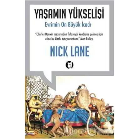 Yaşamın Yükselişi - Nick Lane - Aylak Kitap