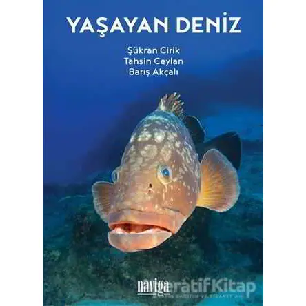 Yaşayan Deniz - Şükran Cirik - Naviga Yayınları