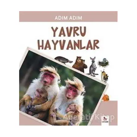 Yavru Hayvanlar - Fiametta Dogi - Almidilli