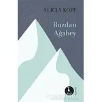 Buzdan Ağabey - Alicia Kopf - Nebula Kitap