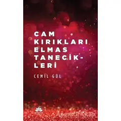 Cam Kırıkları Elmas Tanecikleri - Cemil Gül - Mevsimler Kitap