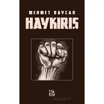 Haykırış - Mehmet Baycan - 40 Kitap