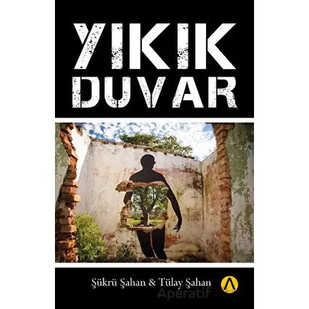 Yıkık Duvar - Şükrü Şahan - Ares Yayınları