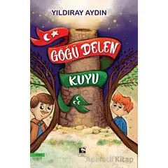 Göğü Delen Kuyu - Yıldıray Aydın - Çınaraltı Yayınları