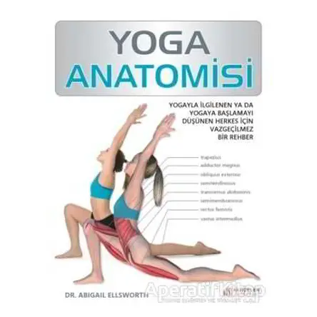 Yoga Anatomisi - Abigail Ellsworth - Akıl Çelen Kitaplar