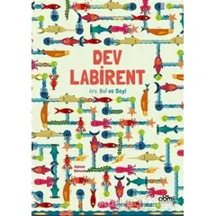 Dev Labirent - Agnese Baruzzi - Abm Yayınevi