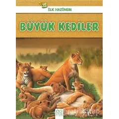 Büyük Kediler - İlk Hazinem - Denise Ryan - 1001 Çiçek Kitaplar