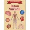 Eğitici Kartlar - İnsan Vücüdu - Kolektif - Teleskop Popüler Bilim