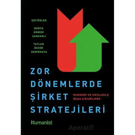 Zor Dönemlerde Şirket Stratejileri - Burcu Güneri Çangarlı - Hümanist Kitap Yayıncılık